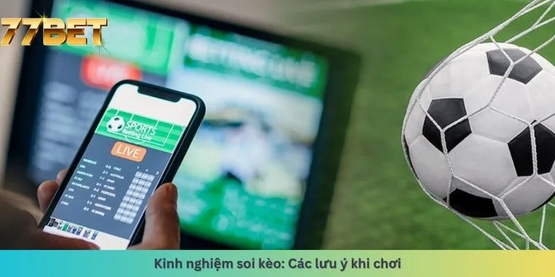 Kinh Nghiệm Đá Gà 7 Các lưu ý khi chơi