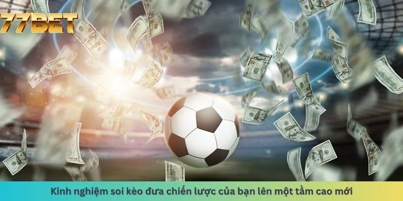 Kinh Nghiệm Đá Gà 5 Đưa chiến lược lên tầm cao