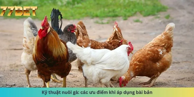 Các ưu điểm khi áp dụng