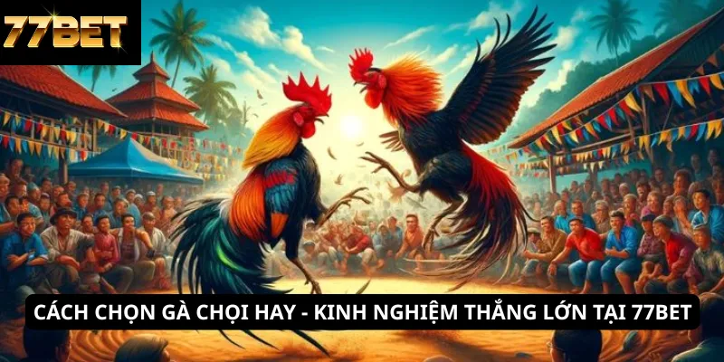 cách chọn gà chọi hay