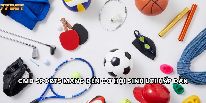 CMD sports mang đến cơ hội sinh lợi hấp dẫn